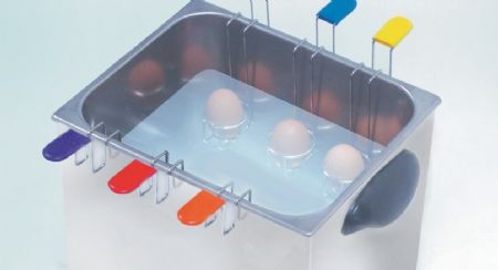 Thermoplongeur cuisson sous vide basse température 6 oeufs - Sofraca - 21272 Thermoplongeur cuisson sous vide basse température 6 oeufs - Sofraca - 21272