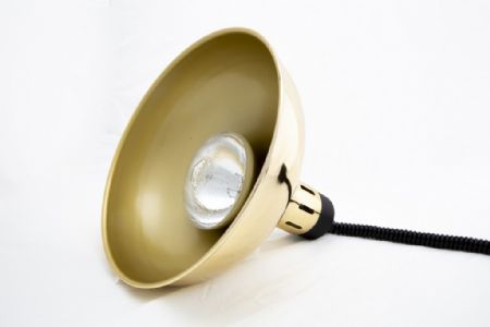 Lampe chauffante professionnelle avec cordon réglable - Combisteel - 7455.1820