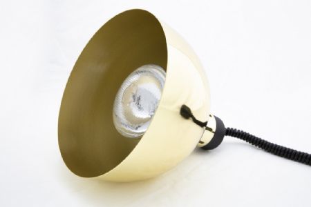 Lampe chauffante 0,25 kW avec cordon réglable - Combisteel - 7455.1835