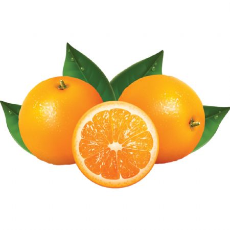 Presse agrume pro automatique pour self service sur meuble 20-25 oranges/min - 12kg
