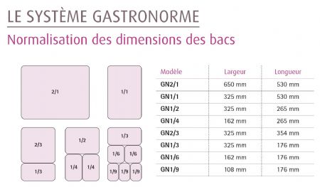 Bac gastronorme GN 1/9 en polycarbonate 3,5 L 106x176x100 mm - Furnotel - B20568