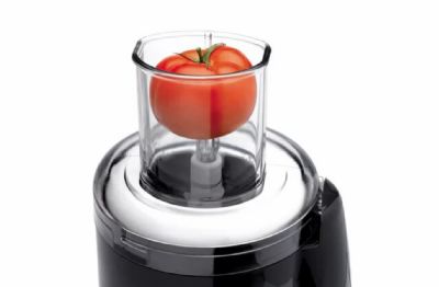 Extracteur de jus et coulis professionnel - 12 L/h