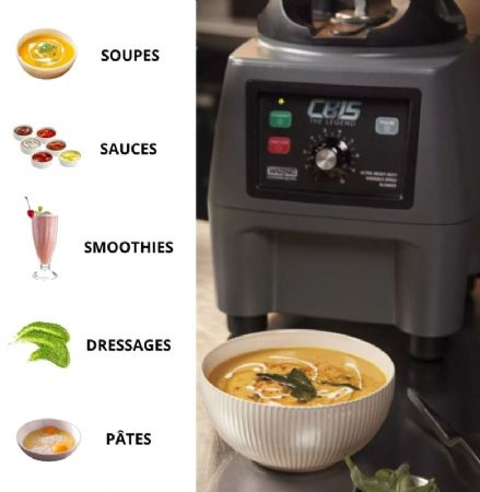 Blender de cuisine en inox à vitesse variable avec bol 2 L