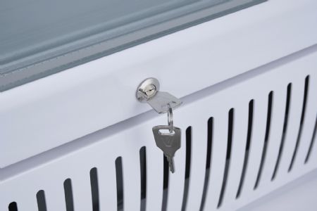 Congélateur vertical professionnel noir 1 porte vitrée chauffante 320 L - Coolhead - CNG 390B