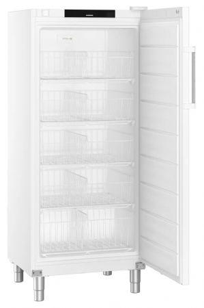 Armoire congélateur professionnelle statique 289L - 1 porte pleine - Liebherr - FFFsg 5501