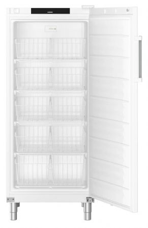 Armoire congélateur professionnelle statique 289L - 1 porte pleine - Liebherr - FFFsg 5501
