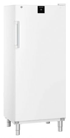 Armoire congélateur professionnelle statique 289L - 1 porte pleine - Liebherr - FFFsg 5501
