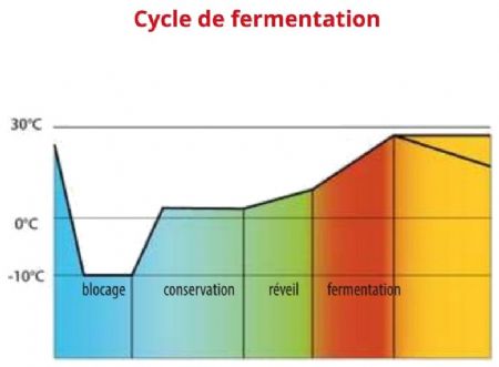 Armoire de fermentation avec 1 porte pleine et 20 grilles 600x800 - 900 litres