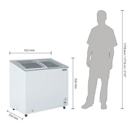 Congélateur Bahus coffre avec couvercle verrouillable 200 L - Polar - GM498