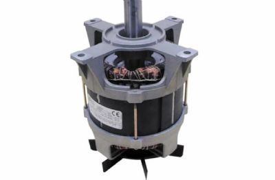 Extracteur de jus professionnel - 160 L/h