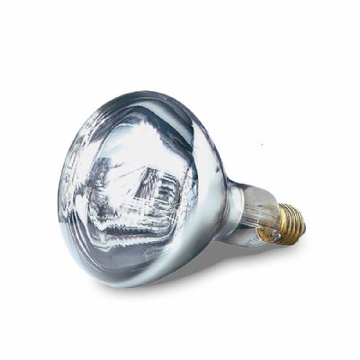 Ampoule blanche 64C pour lampes chauffantes 375 W