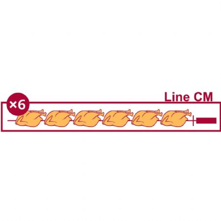 Rôtissoire professionnelle électrique vitrocéramique 3 broches 18 poulets - Diamond Promo - RVE/3C-CM