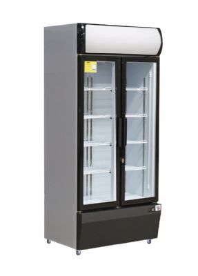 Armoire à boisson inox 2 portes vitrées +1/ +10°C - 580L Armoire à boisson inox 2 portes vitrées +1/ +10°C - 580L