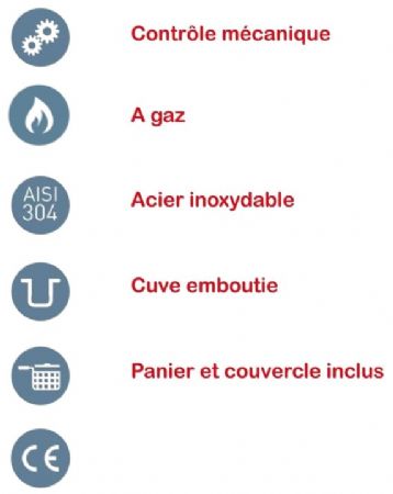 Friteuse haut rendement gaz 1 cuve 26 L ST26P - MIRROR