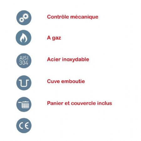 Friteuse professionnelle Haut Rendement Gaz 1 cuve 26 L - Mirror - ST26P