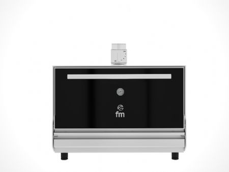 Four BBQ Au Charbon capacité 2GN1/1 L - FM - STG-500-S Four BBQ Au Charbon capacité 2GN1/1 L - FM - STG-500-S