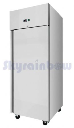 Armoire frigorifique positive 1 porte 610 L - Skyrainbow - THL650TNEC