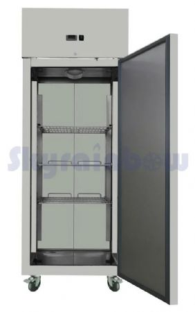 Armoire frigorifique positive 1 porte 610 L - Skyrainbow - THL650TNEC