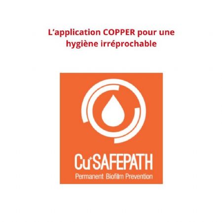 Distributeur d'eau  poser avec application cooper 2 sorties froides -  65L/h