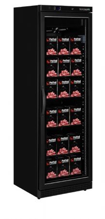 Conglateur supermarch -24  -10C noire 340L avec 1 porte vitre