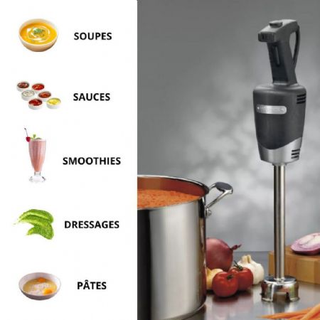 Mixer bras plongeant compact avec pied de 255 mm, moteur de 350 W à haut rendement avec 2 vitesses, capacité de 23 L et lame tout usage en inox - Waring - WSB40E