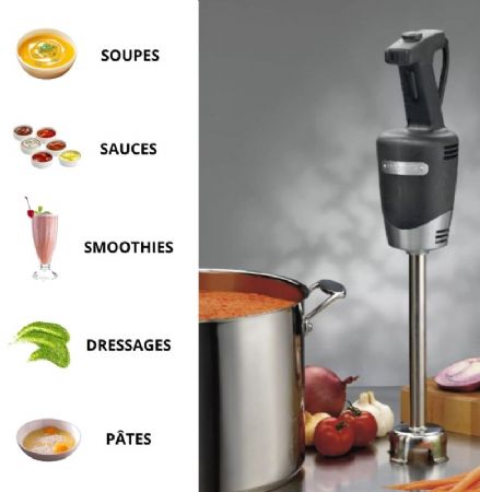 Mixer plongeant noir débit moyen avec 2 vitesses - longueur 255 mm