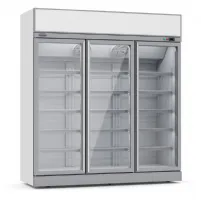 Vitrine murale de supermarché blanche 3 portes vitrées positive 1880 mm - combisteel - 7455.2410 - Combisteel - 7455.2410 Vitrine murale de supermarché blanche 3 portes vitrées positive 1880 mm - combisteel - 7455.2410 - Combisteel - 7455.2410