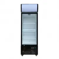 Armoire à Boissons - 270- 1 porte - 620 x 595 x 1855 mm - Skyrainbow - THLC278AF - SKYRAINBOW - THLC278AF