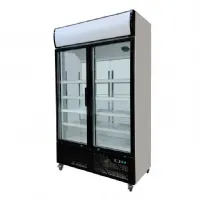 Armoire à Boissons - 600L- 2 portes - 1080 x 595 x 2100 mm - Skyrainbow - THLC628M2AF - SKYRAINBOW - THLC628M2AF
