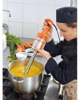Photo 2 - Mixeur plongeant bras 300 mm 1 vitesse 97x600 mm - dynamic - cf008 - Dynamic - CF008