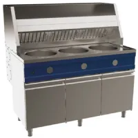 Friteuse à gaz sur meuble avec portes 1 cuve de 13 l - virtus - amz0062 - Virtus group - AMZ0062 Friteuse à gaz sur meuble avec portes 1 cuve de 13 l - virtus - amz0062 - Virtus group - AMZ0062