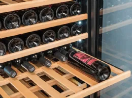 Photo 2 - Cave à vin 1 porte vitrée 520 l 184 bouteilles +5/+12°c et +12/+20°c - coolhead - cw 518dt - Coolhead italie - CW 518DT