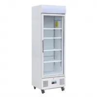 Armoire à Boissons positive 368 L blanche - Polar - DM076 Armoire à Boissons positive 368 L blanche - Polar - DM076