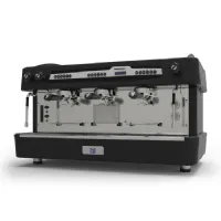 Distributeur à café professionnel automatique 3 groupes 18 L triphasé - Virtus - EFA0025 - VIRTUS GROUP - EFA0025