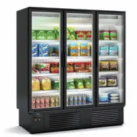Armoire réfrigérée négative vitrée 2 portes 859 l - docriluc - efi-3c-l1-lc - Docriluc - EFI-3C-L1-LC Armoire réfrigérée négative vitrée 2 portes 859 l - docriluc - efi-3c-l1-lc - Docriluc - EFI-3C-L1-LC