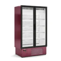 Armoire réfrigérée négative professionnelle 797 l à portes vitrées - docriluc - efil-2c-l1-lc - Docriluc - EFIL-2C-L1-LC Armoire réfrigérée négative professionnelle 797 l à portes vitrées - docriluc - efil-2c-l1-lc - Docriluc - EFIL-2C-L1-LC