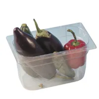 Bac gastronorm en polypropylène, GN 1/1 h=150 mm - Virtus - FAA0108 Bac gastronorm en polypropylène, GN 1/1 h=150 mm - Virtus - FAA0108