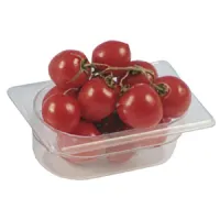 Bac gastronorm en polypropylène, gn 1/3 h=150 mm - virtus - faa0116 - Virtus group - FAA0116
