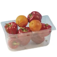 Bac gastronorm en polypropylène, gn 1/4 h=150 mm - virtus - faa0120 - Virtus group - FAA0120