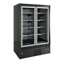 Meuble congélation professionnel noir 2 portes battantes négatif - diamond promo - tcm14-d5 - Diamond promo - TCM14-D5 Meuble congélation professionnel noir 2 portes battantes négatif - diamond promo - tcm14-d5 - Diamond promo - TCM14-D5