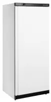Armoire congélateur professionnelle de stockage 1 porte pleine - Tefcold - UF600 W/BASKETS