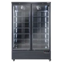 Vitrine congélateur professionnelle noire 2 portes négative - Diverso By Diamond - WR-NV99-2B Vitrine congélateur professionnelle noire 2 portes négative - Diverso By Diamond - WR-NV99-2B