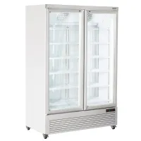 Vitrine congélateur professionnelle blanche 2 portes négative 1340 mm - Diverso By Diamond - WR-NV99-2W