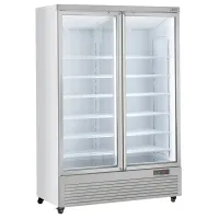 Vitrine réfrigérée professionnelle 2 portes vitrées blanche 1085 L - Diverso By Diamond - WR-VP99-2W Vitrine réfrigérée professionnelle 2 portes vitrées blanche 1085 L - Diverso By Diamond - WR-VP99-2W